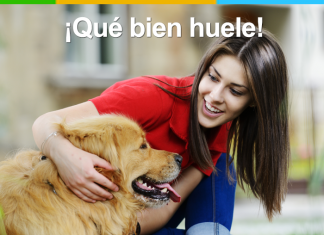 Cómo evitar el olor a perro en las casas Evitar el olor a perro