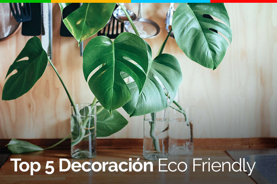 Top 5: Decoración Eco Friendly Decoración Eco Friendly