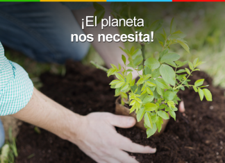 Día de la Tierra: juntos podemos lograr cambios de impacto Día de la Tierra