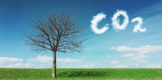 Fondo Climate Tech de Fifth Wall: 500 millones de dólares disponibles para invertir en startups Inmobilia-Fondo-Climate-Tech-de-Fifth-Wall