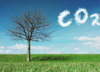 Fondo Climate Tech de Fifth Wall: 500 millones de dólares disponibles para invertir en startups Inmobilia-Fondo-Climate-Tech-de-Fifth-Wall