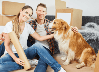 Cómo ayudar a tu perro en la adaptación a la mudanza Inmobilia-adaptacion-de-tu-perro-a-la-mudanza