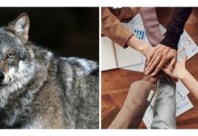 ¿Asesor independiente o asociarse a RE/MAX Venezuela? ¿Lobo solitario o en manada? Inmobilia-asociarte-con-Remax-Venezuela.